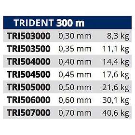 Tortue Trident Monofilament 300 M Durchsichtig 0.600 mm