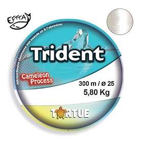 Tortue Trident Monofilament 300 M Durchsichtig 0,300 mm