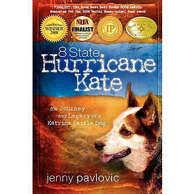 Jenny Pavlovic: 8 State Hurricane Kate: The Journey And Legacy Of A Katrina Cattle Dog