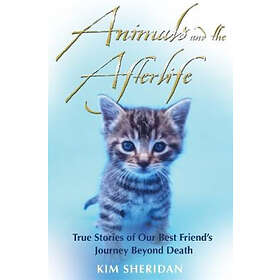 Kim Sheridan: Animals and the Afterlife