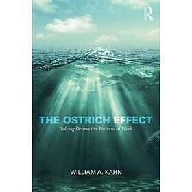 William Kahn: The Ostrich Effect