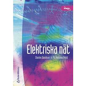 Charles Davidson, Per-Gunnar Hofvenschiöld: Elektriska nät