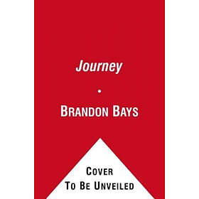 Brandon Bays: The Journey: A Practical Guide to Healing Your Life and Setting Yourself Free