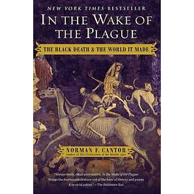 Norman F Cantor: In the Wake of Plague: The Black Death and World It Made