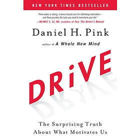 Daniel H Pink: Drive