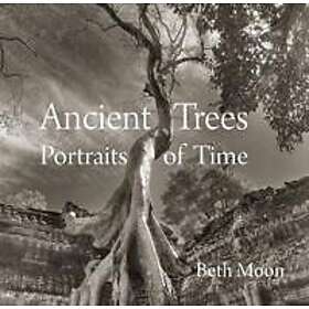 Beth Moon: Ancient Trees