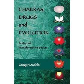 Gregor Maehle: Chakras, Drugs and Evolution