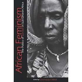 Gwendolyn Mikell: African Feminism