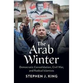 Stephen J King: The Arab Winter