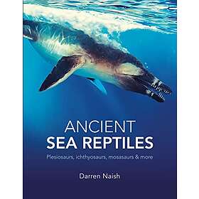 Darren Naish: Ancient Sea Reptiles