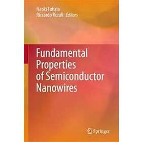 Naoki Fukata, Riccardo Rurali: Fundamental Properties of Semiconductor Nanowires