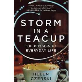Helen Czerski: Storm in a Teacup