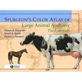 T McCracken: Spurgeon's Color Atlas of Large Animal Anatomy: The Essentials