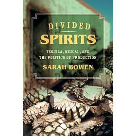 Sarah Bowen: Divided Spirits