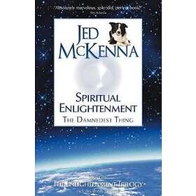 Jed McKenna: Spiritual Enlightenment