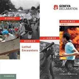 Geneva Declaration Secretariat: Global Burden of Armed Violence 2011