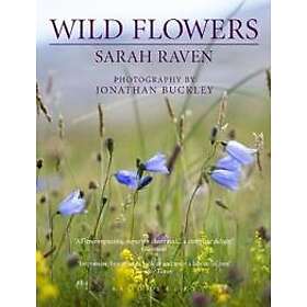 Sarah Raven: Sarah Raven's Wild Flowers