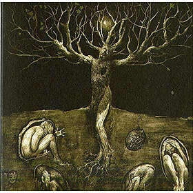 All Traps On Earth A Drop Of Light CD