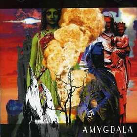 Amygdala Amygdala CD