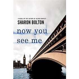 Now You See Me: A Lacey Flint Novel
