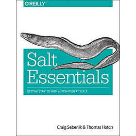 Salt Essentials