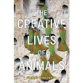 The Creative Lives of Animals