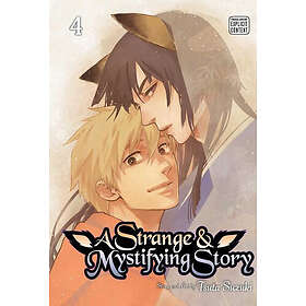 A Strange & Mystifying Story, Vol. 4