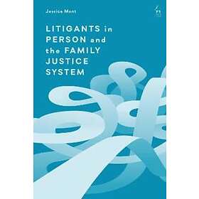 Litigants in Person and the Family Justice System