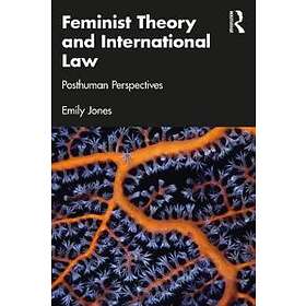Feminist Theory and International Law