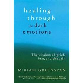 Healing Through the Dark Emotions