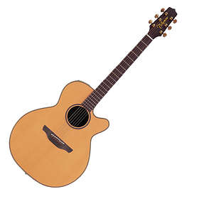 takamine tan40c