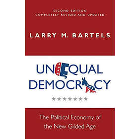 Unequal Democracy