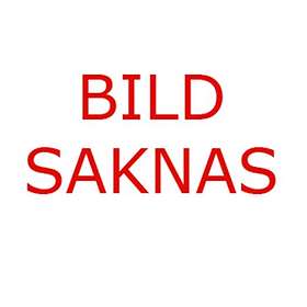 Charvel Warren DeMartini Signature San Dimas