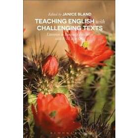 Using Literature in English Language Education