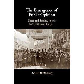 The Emergence of Public Opinion