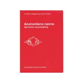 Anatomiens navne
