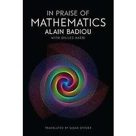 In Praise of Mathematics