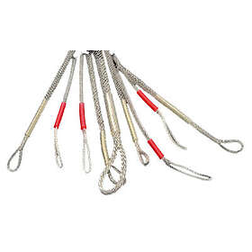 Guideline Roman Moser Salmon Minicon 17Kg