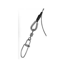 Spro Spro Titanium Wire (40cm)