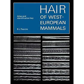 B J Teerink: Hair of West European Mammals