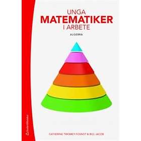Catherine Twomey Fosnot, Bill Jacob: Unga matematiker i arbete Algebra