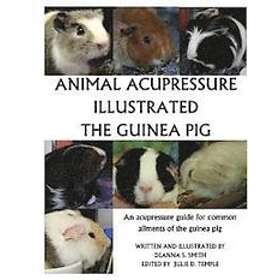 Deanna S Smith: Animal Acupressure Illustration The Guinea Pig