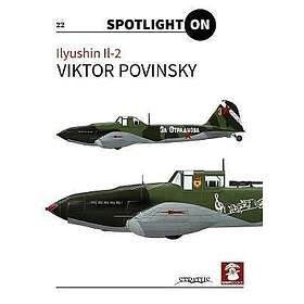 Victor Povinsky: Ilyushin Il-2