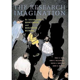 Paul S Gray: The Research Imagination