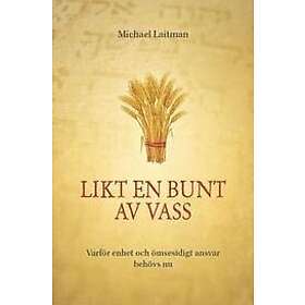 Dr Michael Laitman: Likt en bunt av vass varför enhet och ömsesidigt ansvar behövs nu