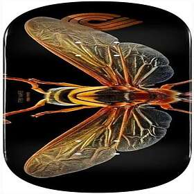 Powell Peralta Lb Potter Wasp 247 Skateboard Deck Multi 8 " Unisex