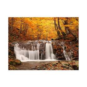 Arkiio Fototapet Autumn Landscape Waterfall In Forest 250x193