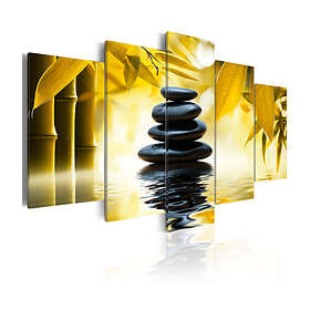 Arkiio Tavla Safflower Relaxation 200x100