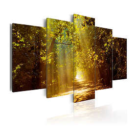 Arkiio Tavla Forest In The Sunlight 200x100