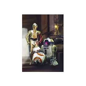 Star Wars Three Droids C3PO BB-8 254 184